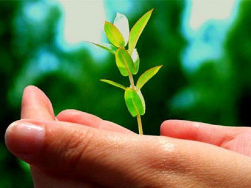 earth-day-green-holidays-1